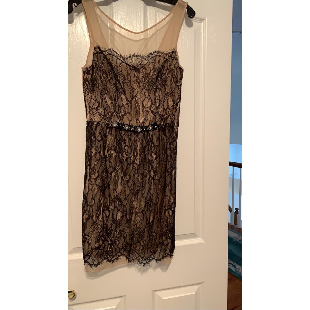 Gorgeous Lace Dress